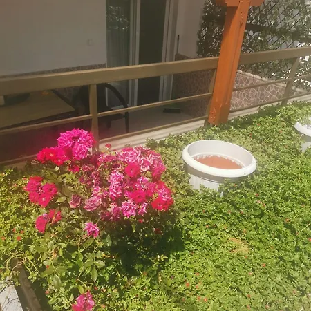 Διαμέρισμα In 100m From *